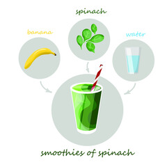 green spinach smoothie recipe vector illustration in flat style, healthy food, vegan and vegetarian drink, with image of ingredients
