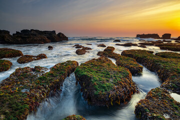 Amazing seascape. Ocean with moving wave. Low tide. Stones covered by green moss and seaweeds. Concept of nature background. Sunset scenery. Long exposure. Mengening beach, Bali