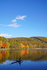 秋の女神湖