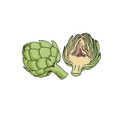 Healthy green vegetable artichoke, whole and half fruit, healthy eating