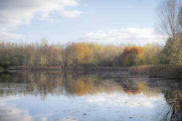 Autumn landscape of Pogoria II Lake was made like a painting.