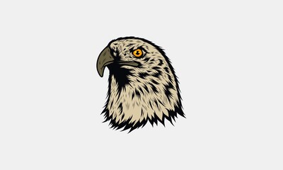 Bald Eagle Head Vector Illustration #2