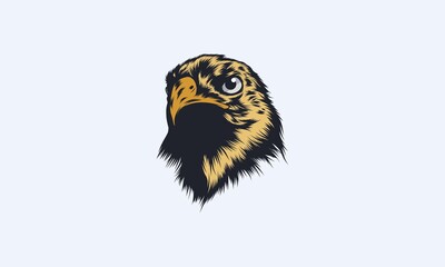 Hand Drawn Bald Eagle Head Vector Illustration