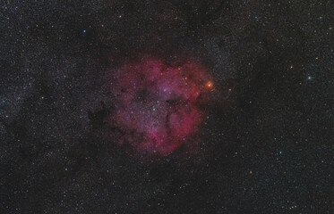 ガーネットスター