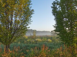 Landscape of Bloodsucking Meadows in Dabrowa Gornicza.