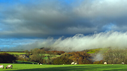 Naklejka na ściany i meble Autumn morning on the moors, with clouds, mist & sunshine.