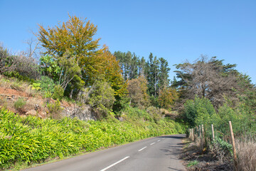 Paul da Serra Plateau, Madeira. Portugal	