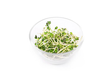Microgreens bowl on white marble background. superfood concept