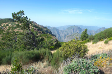 Fototapeta na wymiar Pico do Arieiro, Madeira, Portugal