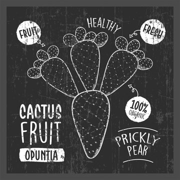 Cactus Fruit line art drawing on the chalkboard