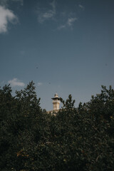 Sites of Pilgrimage from the Holy Lands of Jerusalem