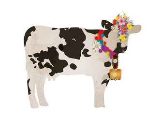 geschmückte Kuh mit Kuhglocke und Blumenschmuck