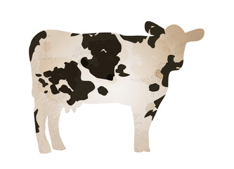 Kuh mit auffälligem schwarz weißem Kuhfell