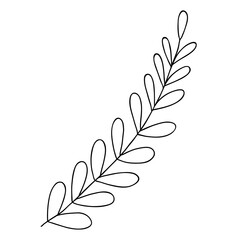 Hand drawn wedding herb