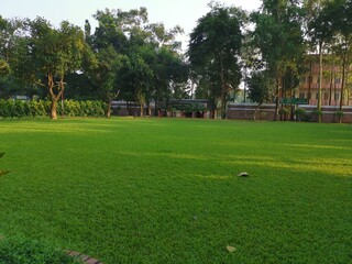 Green nature. It is in Gazipur District, Bangladesh. In the afternoon light it looks very beautiful.
