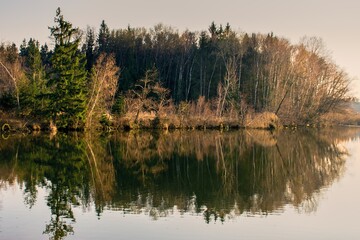 reflection of trees in the water