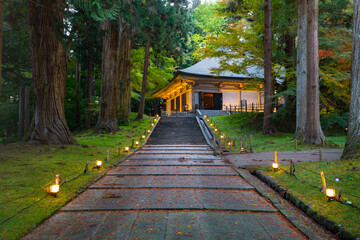 世界遺産　岩手ライトアップされた中尊寺金色堂覆堂の紅葉