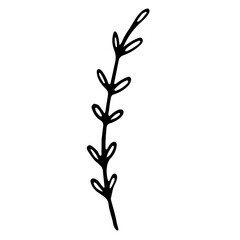 Floral hand drawn doodle icon for social media story. Ink drawn branch