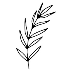 Floral hand drawn doodle icon for social media story. Ink drawn branch