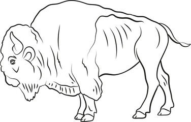 Symbol of the year 2021. Large wild animal buffalo, black and white image.Печать