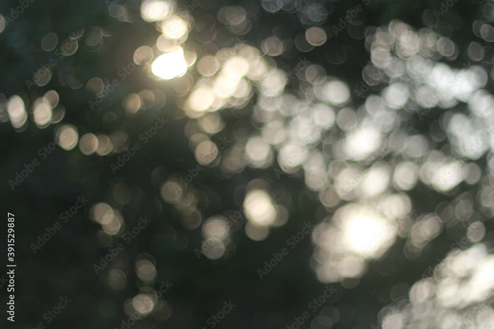 Wall mural blur bokeh green bokeh abstract light background blurred nature background. with color and bright su