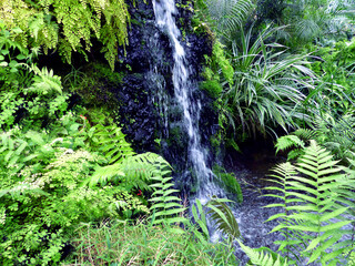 Fototapeta premium Peaceful tropical scenery 01