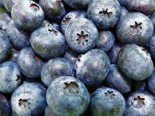 Blueberries background