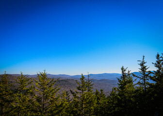Blues Sky Landscape with mountains and pines