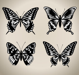 Fototapeta na wymiar Beautiful Butterfly Tattoo