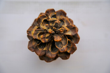 pine cone on a white wooden background close-up. Top view. Christmas decorations, design. Copy space