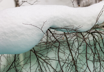 Snow the snow on the branches of trees in the forest