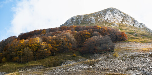 Panoramic view at spectacular landscape with autumn beautiful forest at mountain Paggaio. Greece