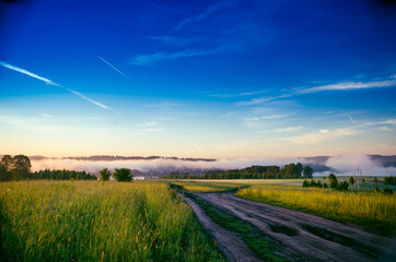 Obraz premium early morning. forest hiding in the fog. forest path