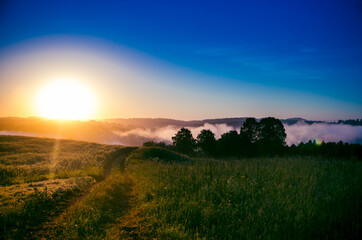 early morning. forest hiding in the fog. forest path