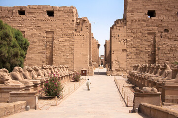 Entrance to Karnak temple with alley of Ram headed Sphinxes in Luxor, Egypt