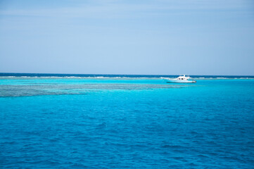 Fototapeta na wymiar White diving yacht sailing on amazing clear turquoise blue water of Red Sea, Egypt