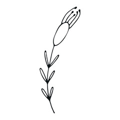 Hand drawn flower doodle. Hand drawn wedding herb. Simple floral doodle icon