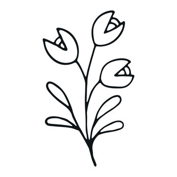 Hand drawn flower doodle. Hand drawn wedding herb. Simple floral doodle icon