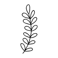 Hand drawn decorative branch with leaves. Single doodle outlne flower
