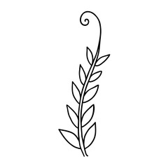 Hand drawn flower doodle element for photo book decoration