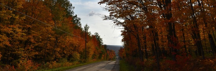 The lake road in autumn, Sainte-Apolline