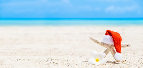 White Starfish in red Santa hat on sandy beached sea on background