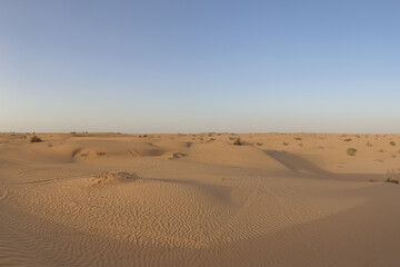 sand dunes in the empty desert