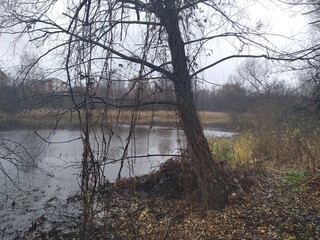 misty morning on the river