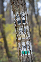 markings of bicycle routes painted on trees, markings of tourist routes