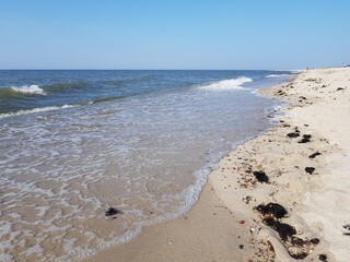 Sandy coast of the Baltic Sea