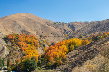 autumn in the mountains