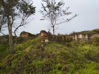 Obraz premium Nature