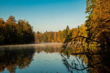 reflecting water surface of a lake with autumn forest