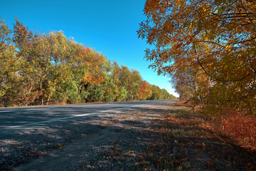 Empty autumn road, highway, with beautiful trees on the sides, against the background of a clear, blue sky, without clouds